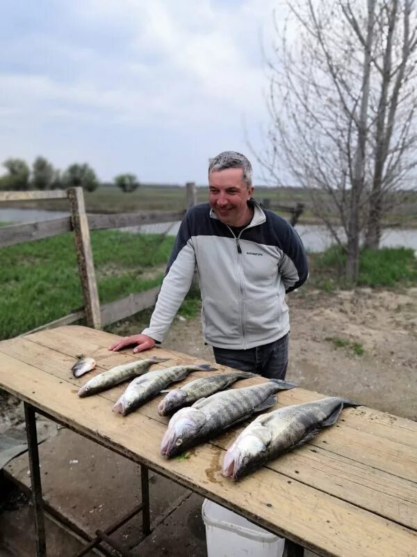 База Ахтуба на Волге. База Родина Селитренное. База Астрахань Волга Рыбак. Рыболовные базы в Селитренном. Рыбалка на волге сегодня