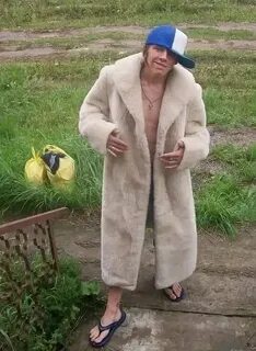 Пушистый модник вологда возрождения