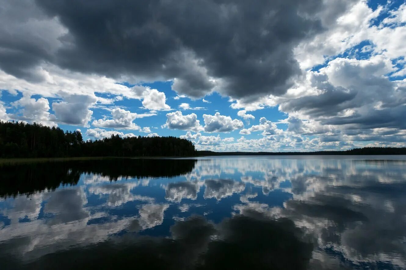 Деревня белое озеро. Белое озеро Шатура. Белое озеро Брестская область. Белое Юховское озеро. Озеро белое Витебская область.