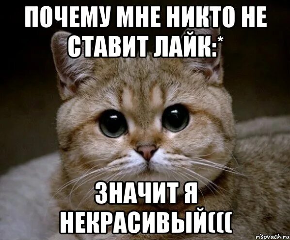 Ребята отчего