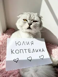 Ляпота тв 24 часа