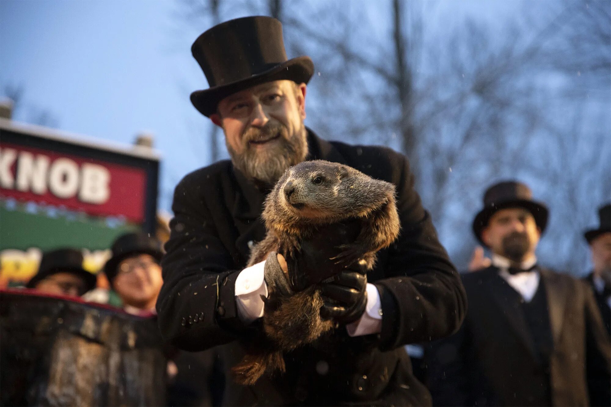Панксатонский фил сурок. День сурка (groundhog day). Проживаю день сурка. Сурок фил из панксатони. Сурок фил пенсильвания.