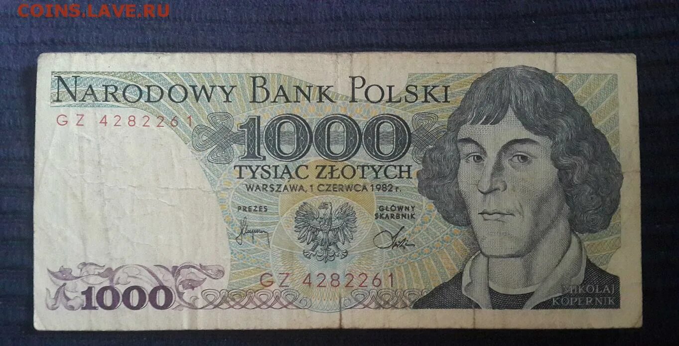 1000 Злотых Польша. 1000 Злотых в рублях. Польская валюта 1000. Купюра 1000 злотых.