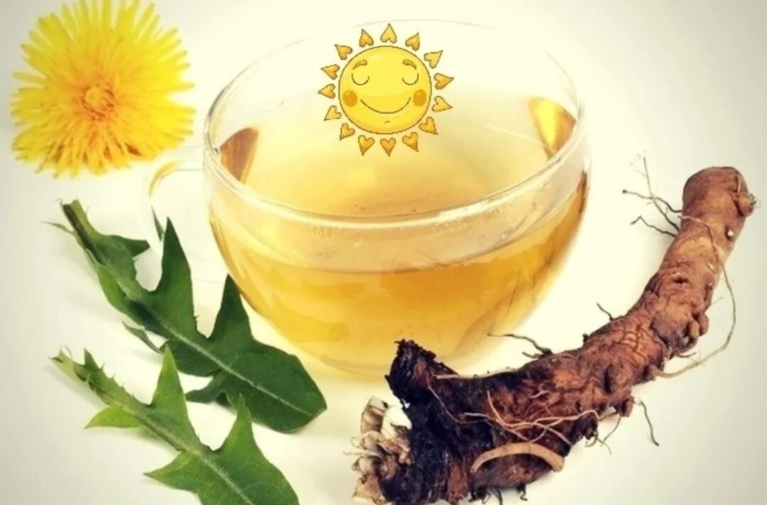 Dandelion root - корень одуванчика. Лечебная трава корешки одуванчика. Настои из лекарственных растений. Настой корня одуванчика. Лопух поджелудочная