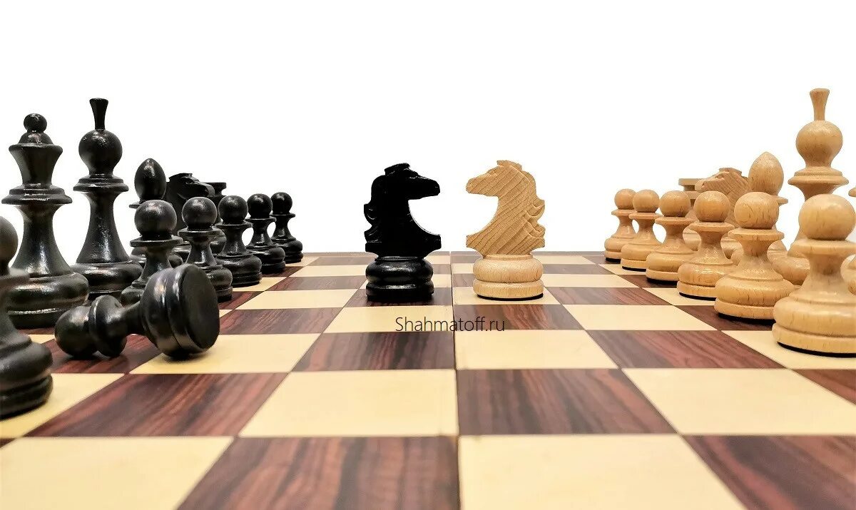 Шахматы доска с фигурами