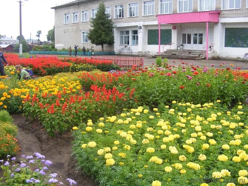 Сайт даровской средней. Школа пгт Даровской. Поселок Доровской Кировской области. Даровская средняя школа пгт Даровской. Сайт школы пгт Даровской КОГОБУ СОШ.