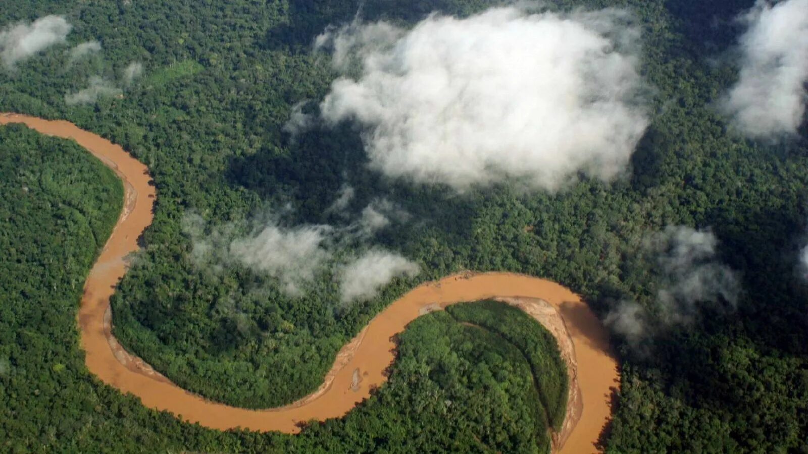 Климат амазонии. Амазонские джунгли бразилия. Бразилия тропические леса сельва. Сельва амазонки. Сельва амазонки, южная америка.