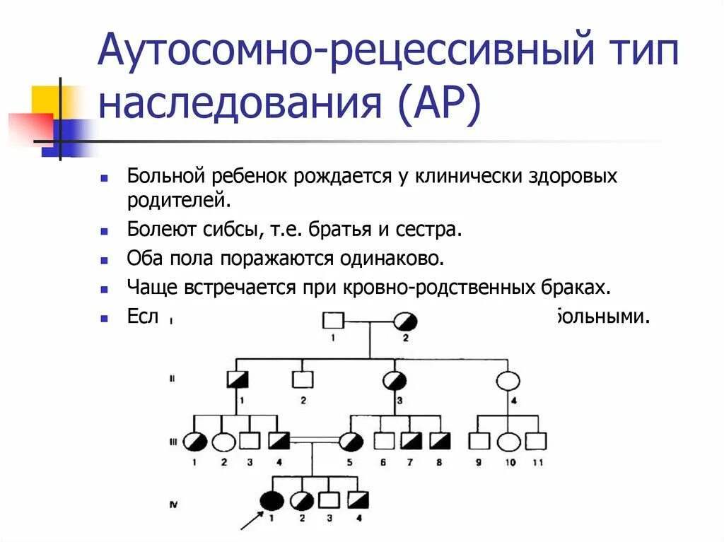 Аутосомно-доминантный Тип наследования схема. Аутосомно-рецессивный Тип наследования. Аутосомно-рецессивный Тип наследования схема. Генеалогическое Древо аутосомно рецессивный Тип наследования.