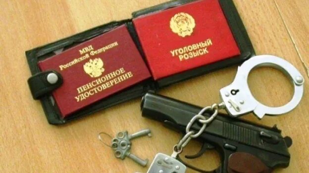 Система уголовного розыска. Система уголовного розыска