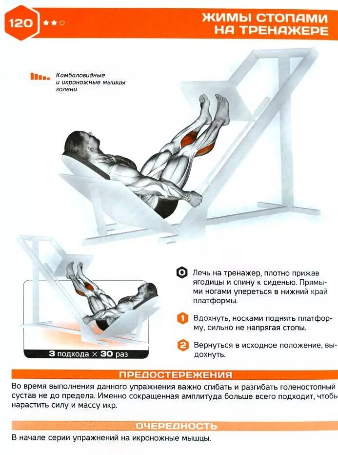 Жим платформы какие мышцы. Расположение ног на платформе для жима лежа нагрузка. жим ногами лежа вертикальной платформы. жим ногами лежа на тренажере техника. жим ногами в тренажере техника выполнения.