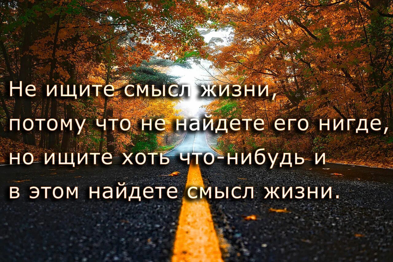 Высказывания о жизни со смыслом в картинках. Красивые цитаты. Красивые цитаты про жизнь. Фразы со смыслом. Картинки с Цитатами.