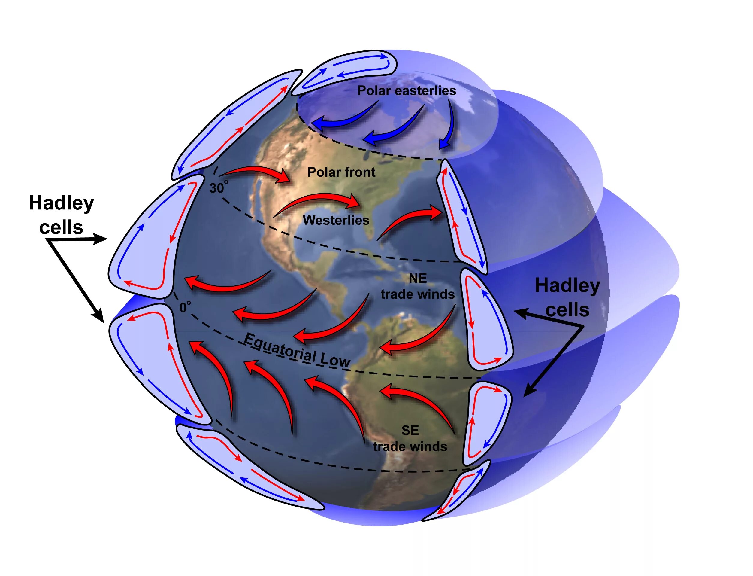 Схема глобальной циркуляции атмосферы. Схема общей циркуляции атмосферы. Ячейки циркуляции атмосферы. Циркуляция атмосферы - ячейки Хэдли. Пассаты муссоны западные