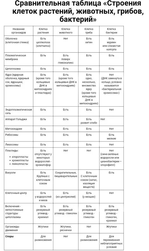 Сравнение клеток растений животных грибов и бактерий таблица. Сравнительная таблица клеток растений животных бактерий грибов. Сравнение животной растительной и грибной клетки таблица. Сравнение растений животных грибов и бактерий таблица. Сравнение бактерий и растений