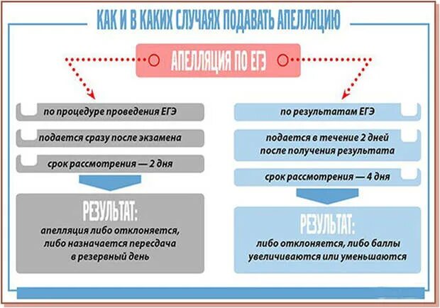 Процедура апелляции ЕГЭ. Рассмотрение апелляции по ЕГЭ. Порядок подачи апелляции по ЕГЭ. Апелляция на процедуру проведения ЕГЭ. С результатами в течение 30