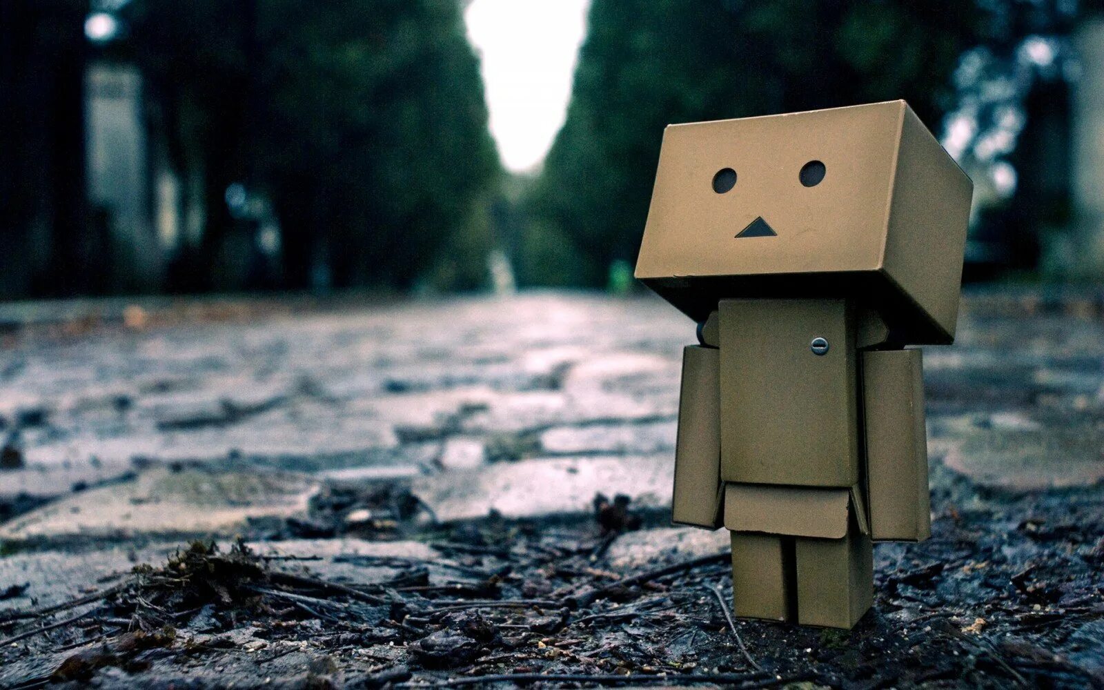 Картонный робот Danbo. Картонный человечек Danbo. Грустный человечек. Человечек из коробки. Смешная грустная жизнь