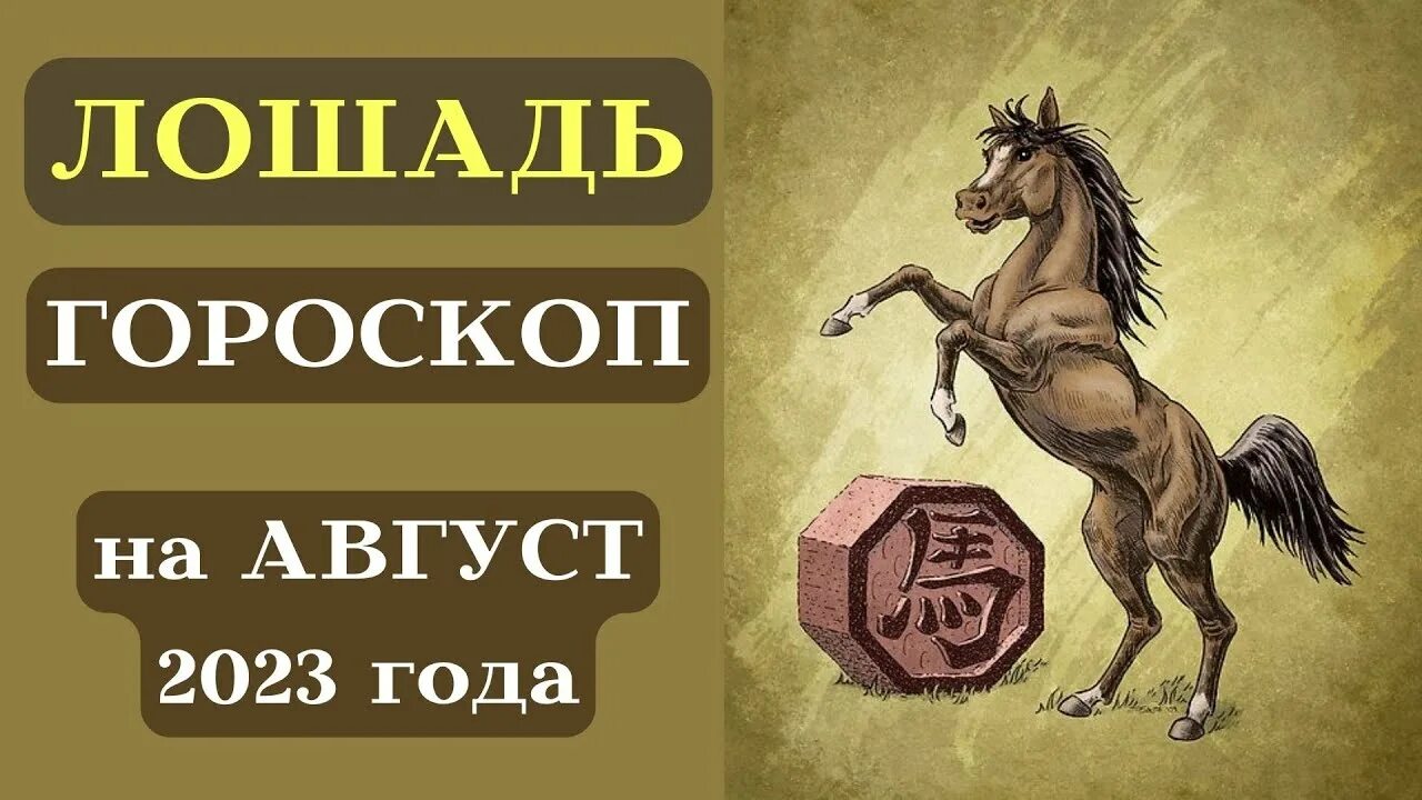 Гороскоп лошадь мужчина на сегодня. Гороскоп конь. Лошадь знак зодиака. Лошадь года по гороскопу. Китайские знаки зодиака лошадь.