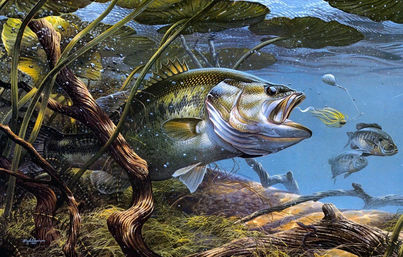 Рыба хищник в озере. Картины марка Сузино.