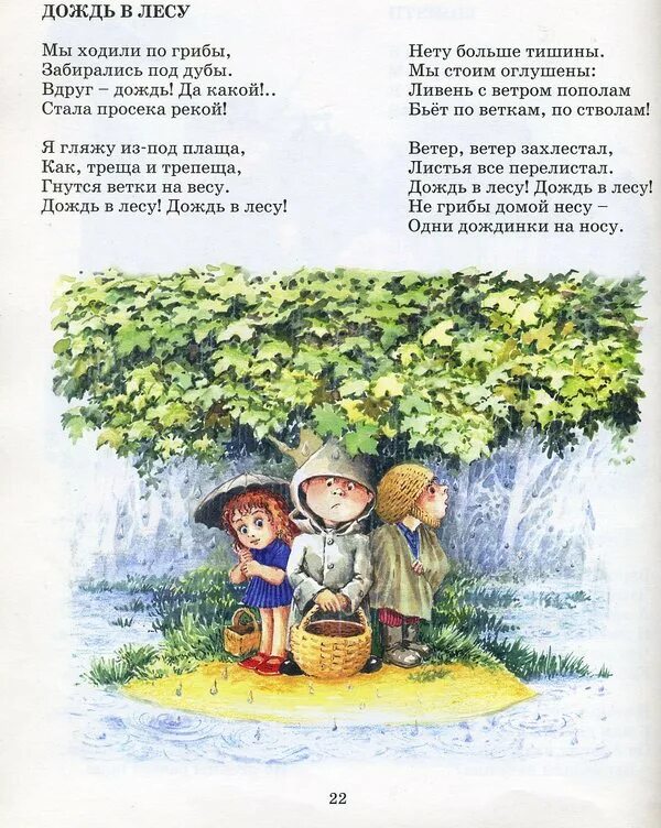 загадки о ветре и дожде. загадки про лес 3 класс. дождь в лесу текст. дождь в лесу текст. описание ливня.