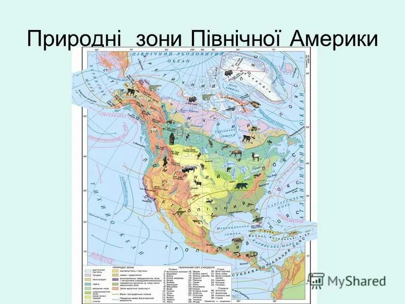 Центральная америка природные зоны. Природны зони Північної Америки. Природні зони пн Америки. Карта природных зон Северной Америки. Природные зоны материка Северная Америка.