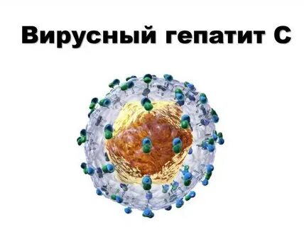 Стадии гепатита c