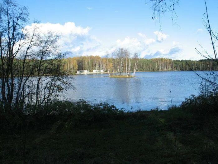 Озерки верхнее суздальское озеро. Озеро большое санкт петербург. Озеро большое санкт петербург. Озеро верхнее суздальское санкт-петербург. Нижнее большое суздальское озеро спб.