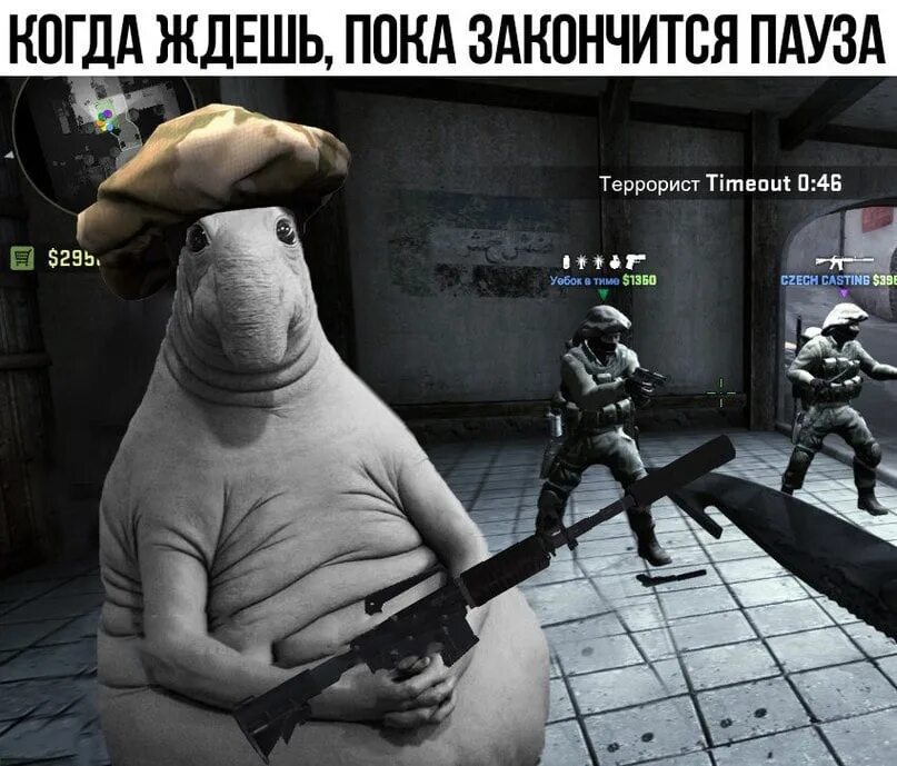 Скину жди. КС го Мем. Мемы про КС. Смешные мемы КС го. Counter-Strike: Global Offensive мемы.