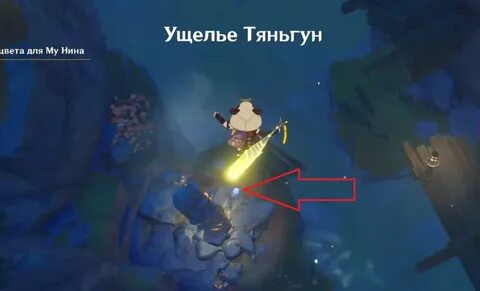 Староцветы геншин импакт