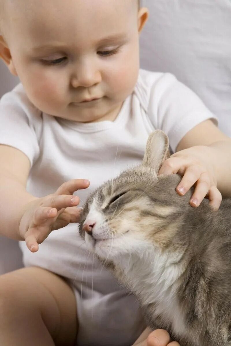 Кот малыш. Кот малыш. Включи ребенка котенок. Котёнок-ребёнок. Девочка играет с котенком.
