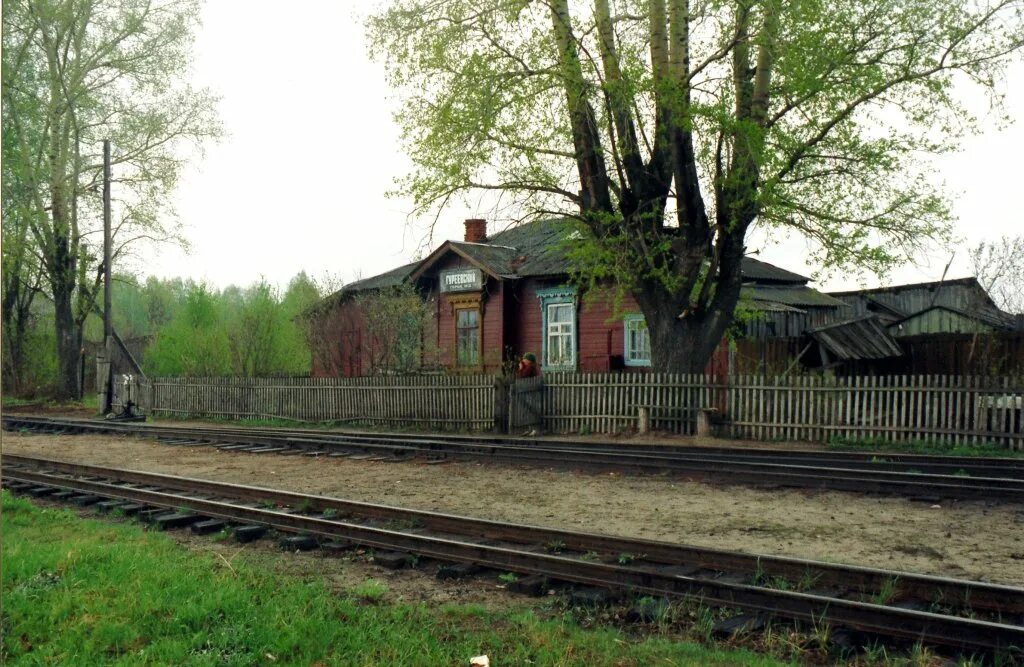 Рязанская железная дорога. Узкоколейка спас-Клепики. Железная дорога узкоколейка спас-Клепики. Спас-Клепики Рязанская узкоколейка. Спас Клепики УЖД.