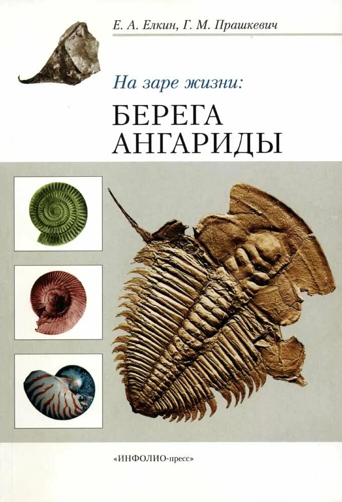 Читать берега жизни. Берега Ангариды книга. На заре жизни. Прашкевич г.м. "Толкин".