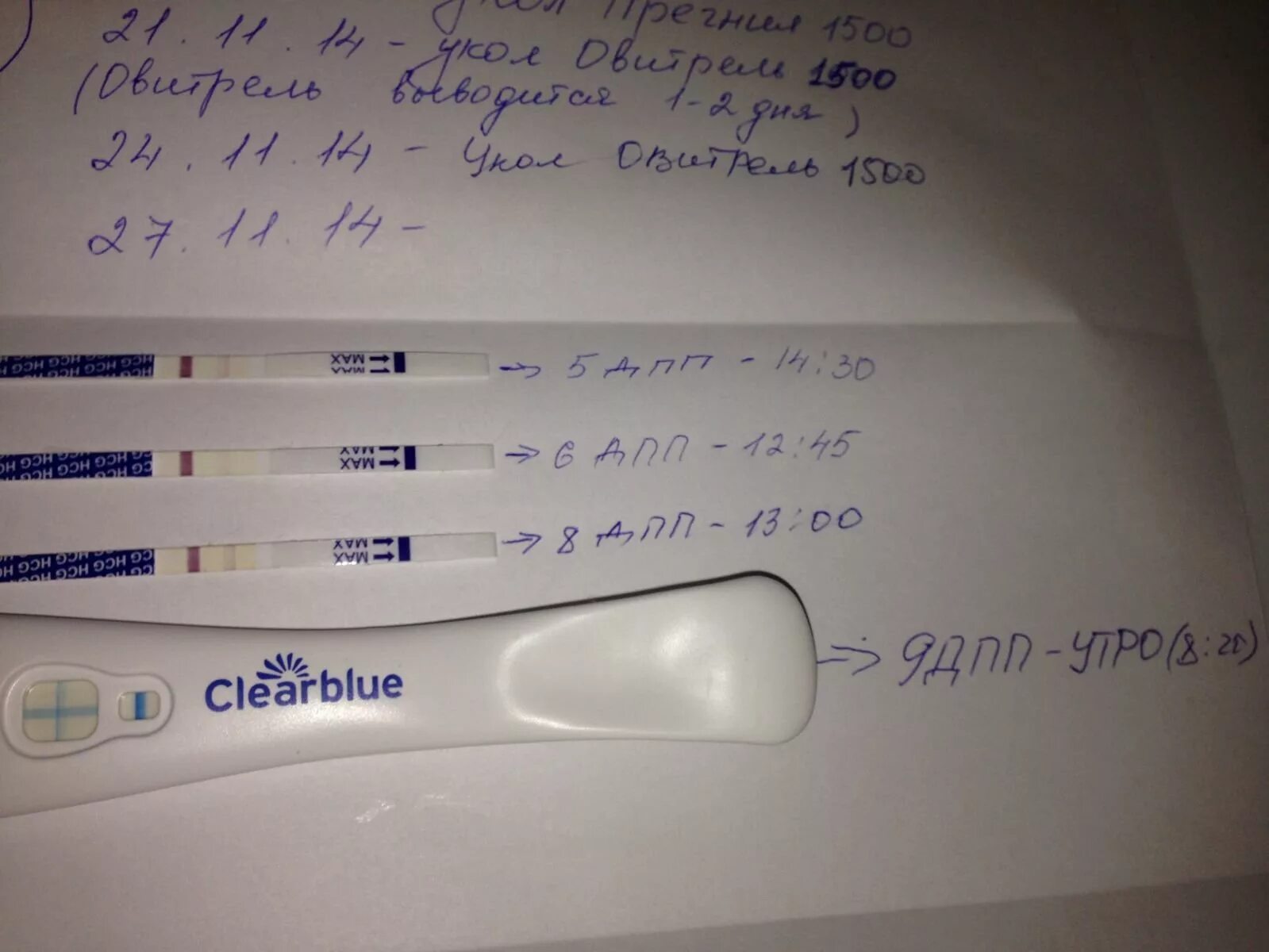 На какой день после зачатия тест покажет. Clearblue хгч. тест хгч до задержки. тесты хгч на беременность до задержки. тест на беременность 5 дней до задержки.
