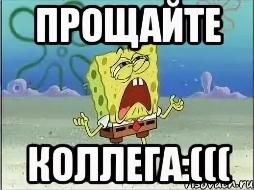 Работа прости
