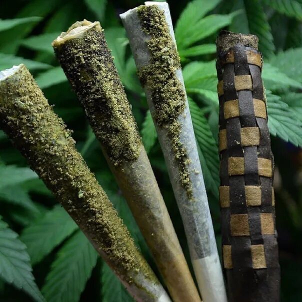 Блант джойнт сплиф различия. Блант косяк сплиф джойнт разница. Блант сплиф джойнт разница. Сплиф блант джойнт,косяк. Блант джойнт сплиф различия.