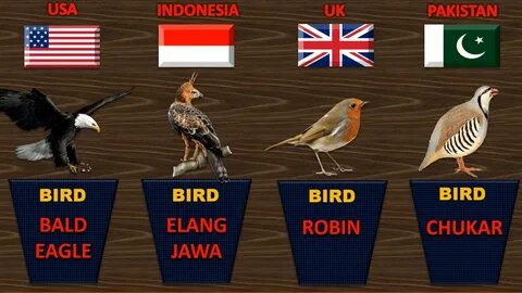Country birds