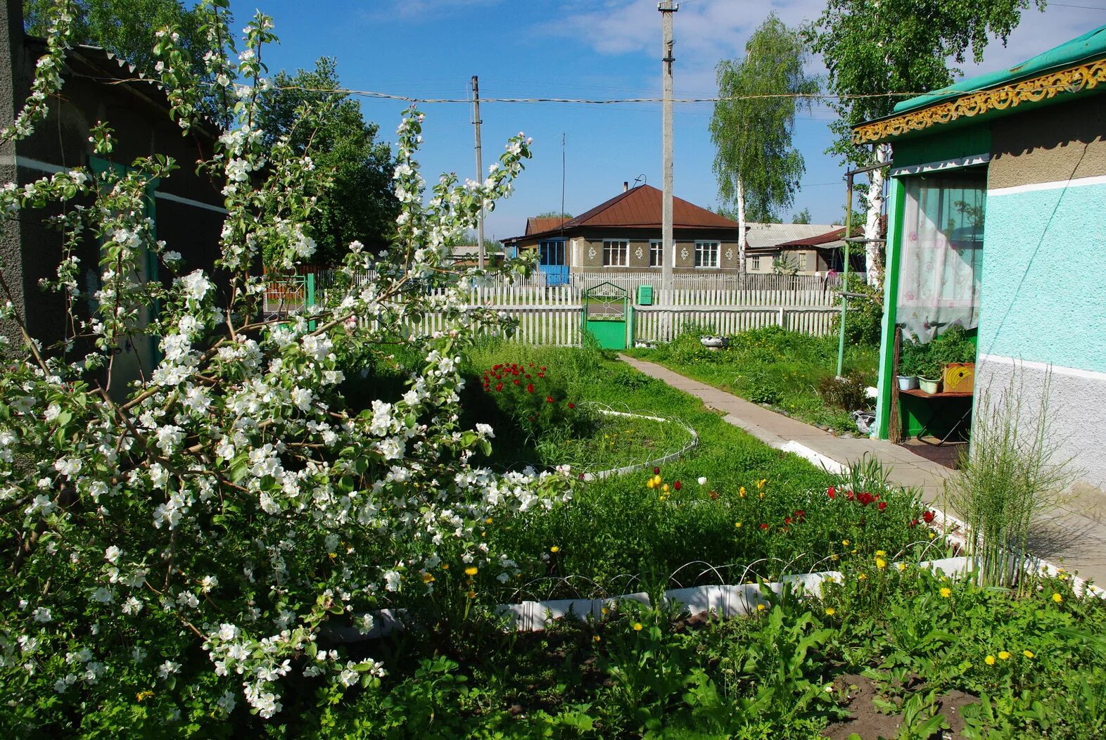 Погода никольское алтайского края алтайского района. ННР Алтайский край. Село новая Чемровка Алтайский край. Немецкий район Алтайский край. Гальбштадт Алтайский край.