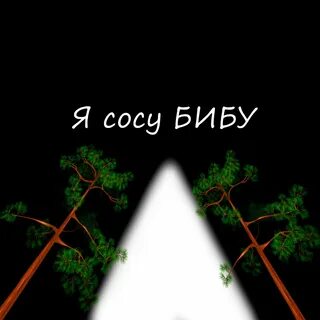 Польский философ ясосу бибу