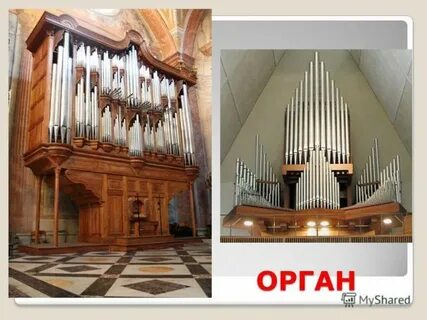Орган 2 класс