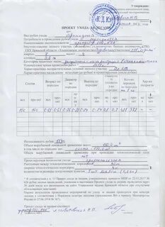 Проект рубок