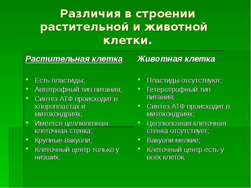 Строении признаки растений и животных. Различия в строении растительной и животной клетки. сходства строения растительной и животной клетки. сходства и различия растительной и животной клетки. различия строения клетки животного и растения.