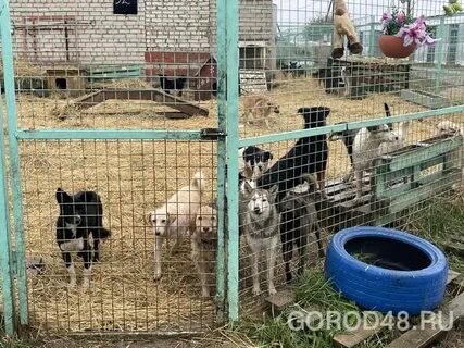 Приют берег