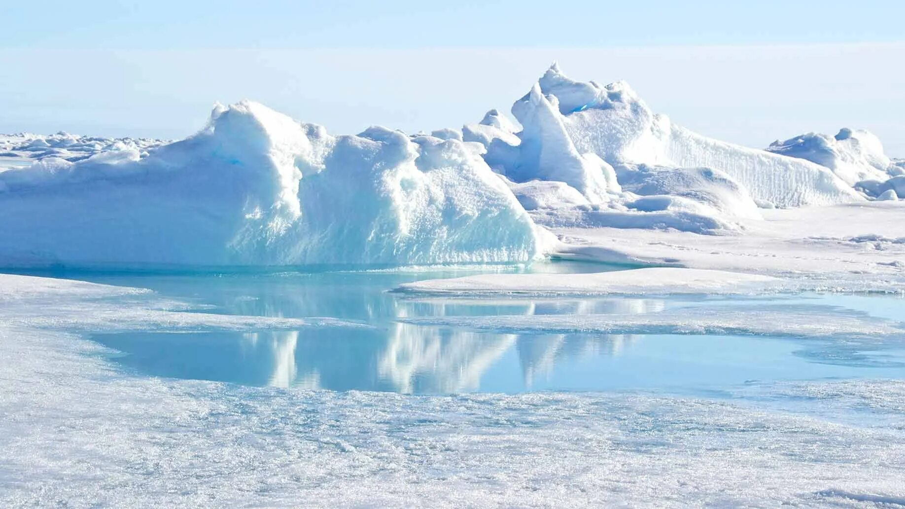 Свободный ото льда участок антарктиды. Арктика. Арктика пейзаж. Северный полюс. Животные Арктики.