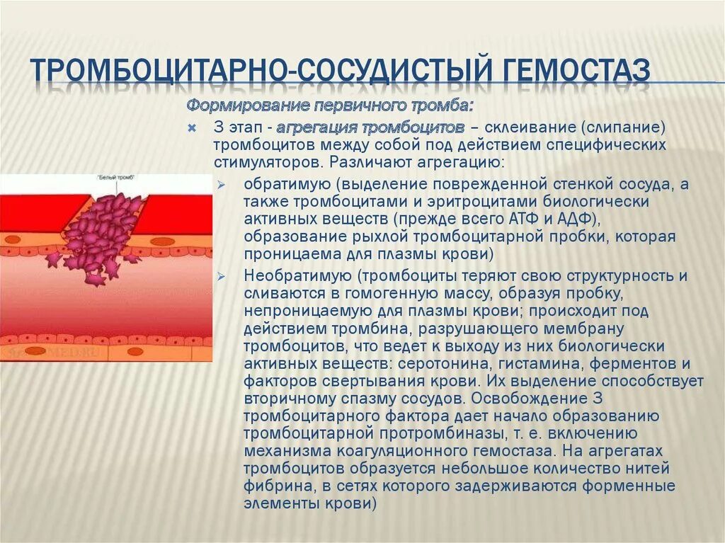 Сосудисто-тромбоцитарный гемостаз. Функции сосудистого эндотелия,. Что такое сосудисто-тромбоцитарного гемостаза, основные компоненты.. Механизм первичного гемостаза. Первичный (сосудисто-тромбоцитарный) гемостаз, его характеристика.. Тромбоциты и тромбы