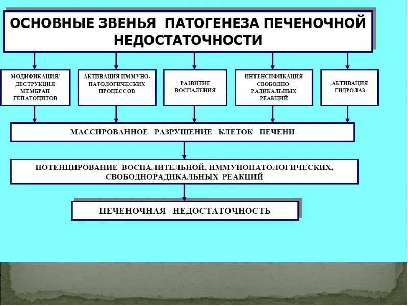 дыхание ибуки и ногарэ. каратэ киокушинкай кумитэ. этикет в каратэ. пояса в карате. кто является главным звеном по принципу карате.