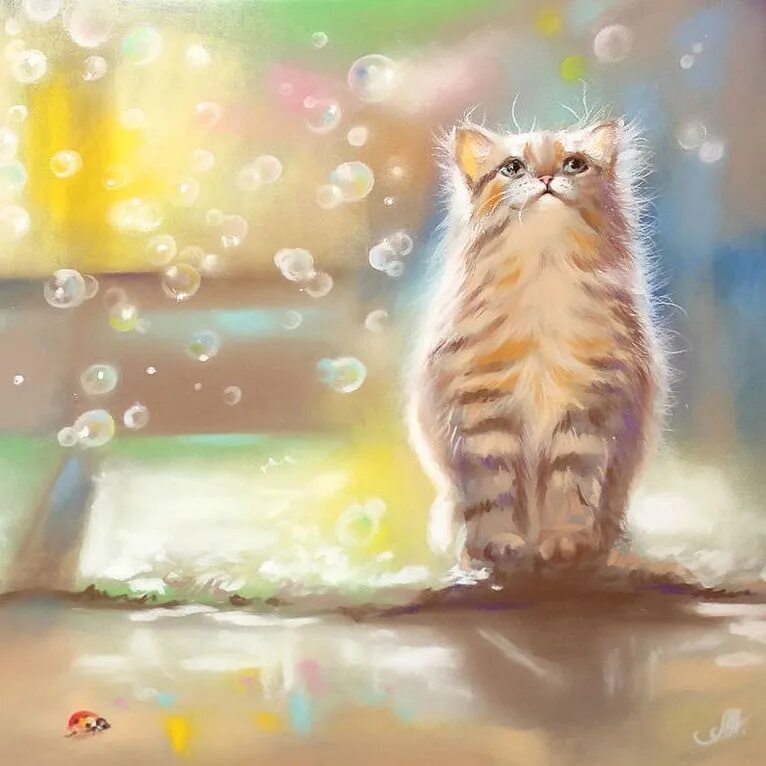 Котики позитивного доброго утра