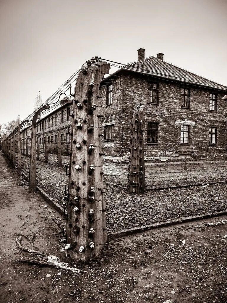 Concentration camp. Аушвиц-Биркенау. Освенцим Биркенау.