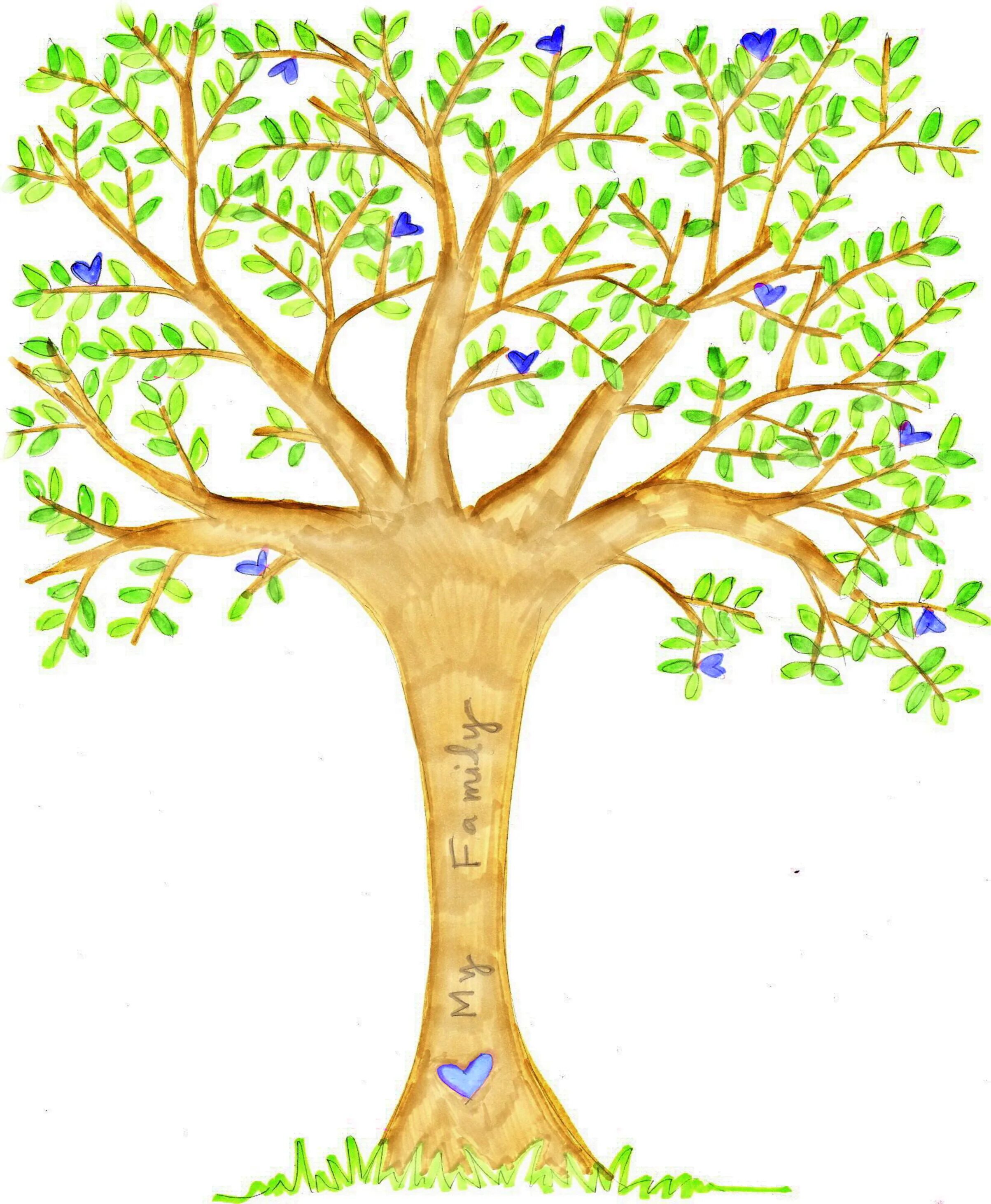 Дерево жизни 2 класс. Дерево для генеалогического дерева. Родословное дерево для детей. Генеалогическое дерево для детей. Дерево жизни родословная.