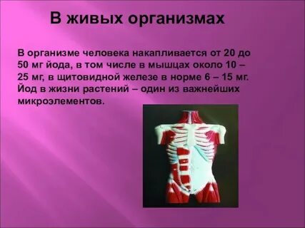 Йод функции