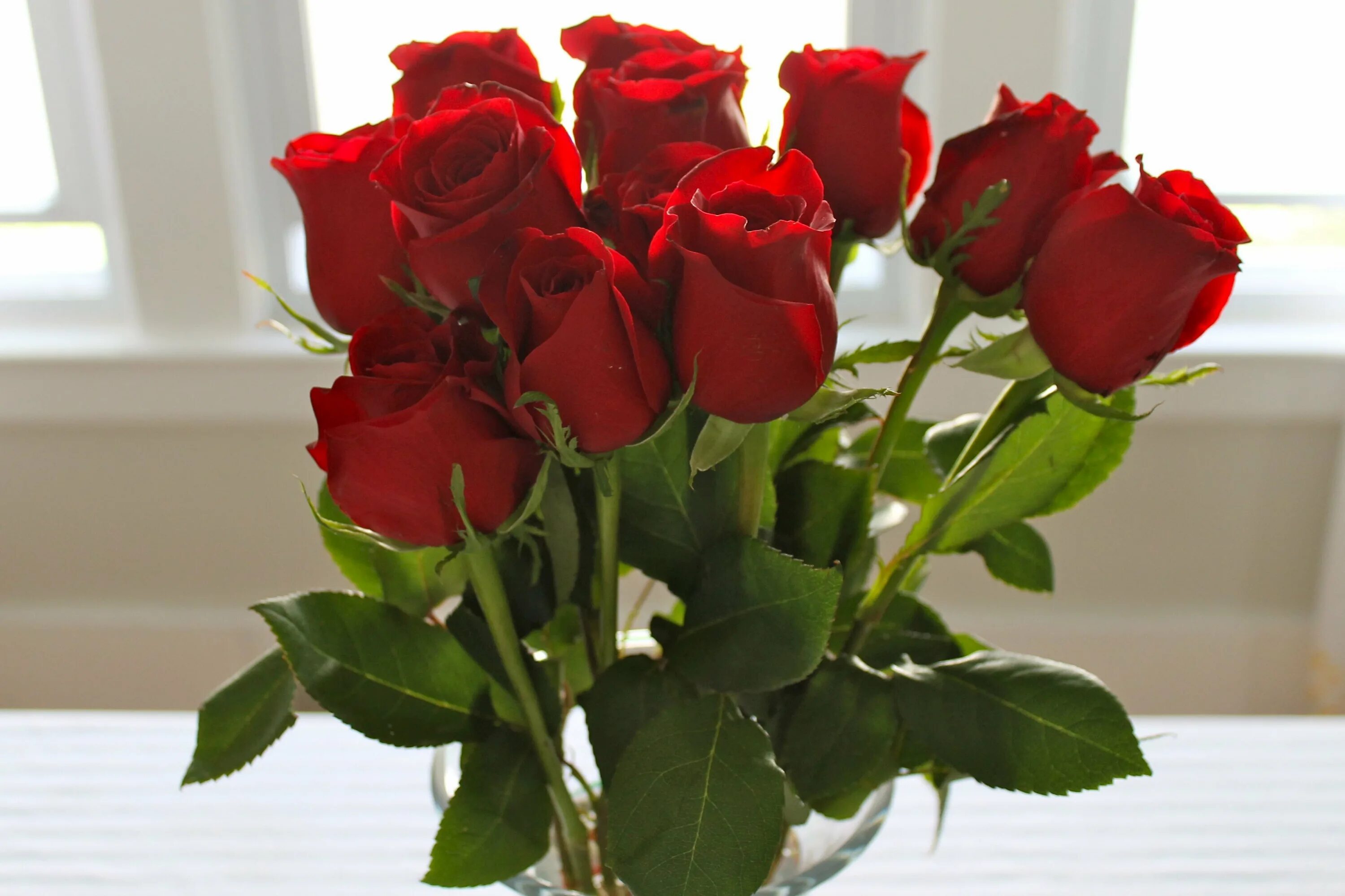 Цвет цветов для любимой женщины. Букет красных роз. Голландские розы.