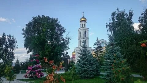 Самара 7 дней