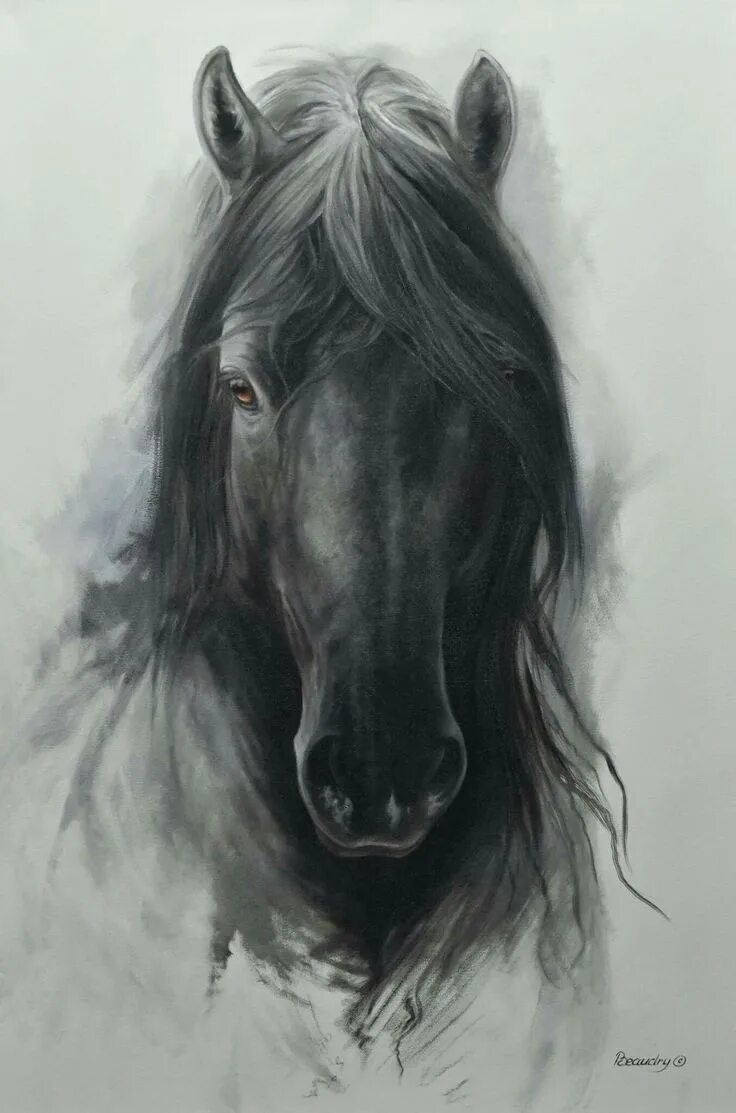 Черное рисунок лошади. Лошадь карандашом. лошадь рисунок карандашом. лошадь живопись морда. морда лошади арт.